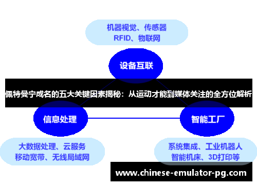 佩特曼宁成名的五大关键因素揭秘：从运动才能到媒体关注的全方位解析