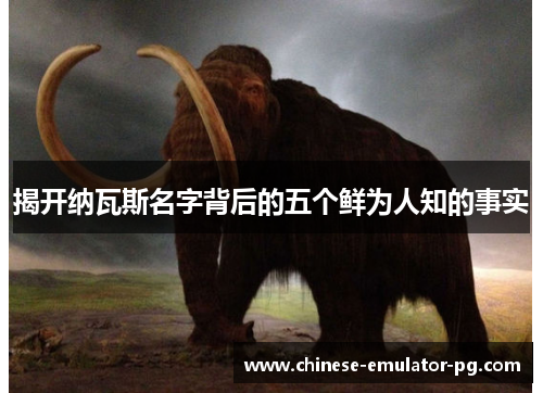 揭开纳瓦斯名字背后的五个鲜为人知的事实 揭开纳瓦斯名字背后的五个鲜为人知的事实