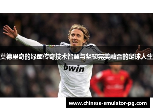 莫德里奇的绿茵传奇技术智慧与坚韧完美融合的足球人生