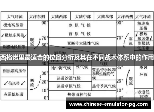 西格诺里最适合的位置分析及其在不同战术体系中的作用