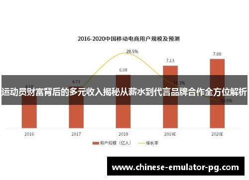 运动员财富背后的多元收入揭秘从薪水到代言品牌合作全方位解析