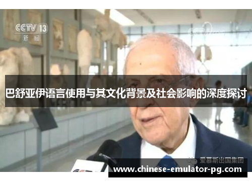 巴舒亚伊语言使用与其文化背景及社会影响的深度探讨