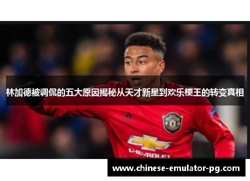 林加德被调侃的五大原因揭秘从天才新星到欢乐梗王的转变真相