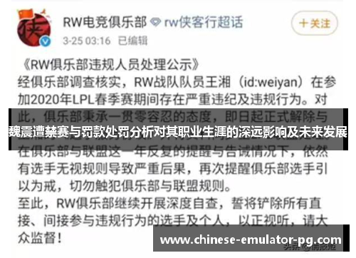 魏震遭禁赛与罚款处罚分析对其职业生涯的深远影响及未来发展