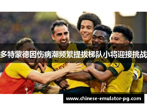 多特蒙德因伤病潮频繁提拔梯队小将迎接挑战