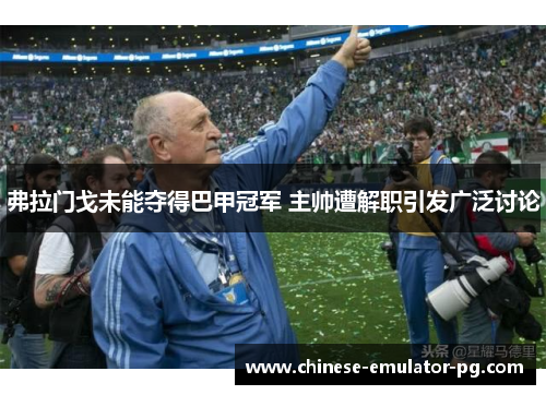 弗拉门戈未能夺得巴甲冠军 主帅遭解职引发广泛讨论