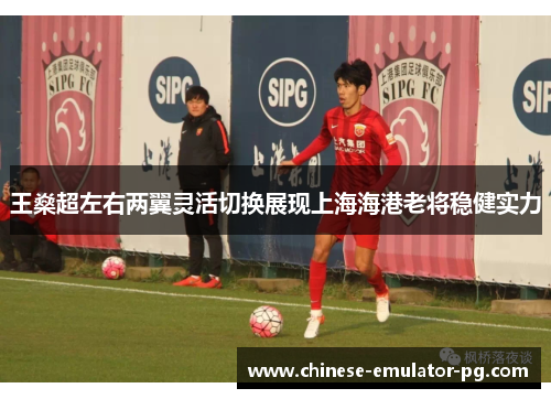 王燊超左右两翼灵活切换展现上海海港老将稳健实力 王燊超左右两翼灵活切换展现上海海港老将稳健实力